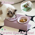 Ceramic Slanted Double Pet Bowl Cat Dog Food Water Bowl Non-Slip Feeding Dish - Green V528-DOUBLE-BOWL-GREEN-504558