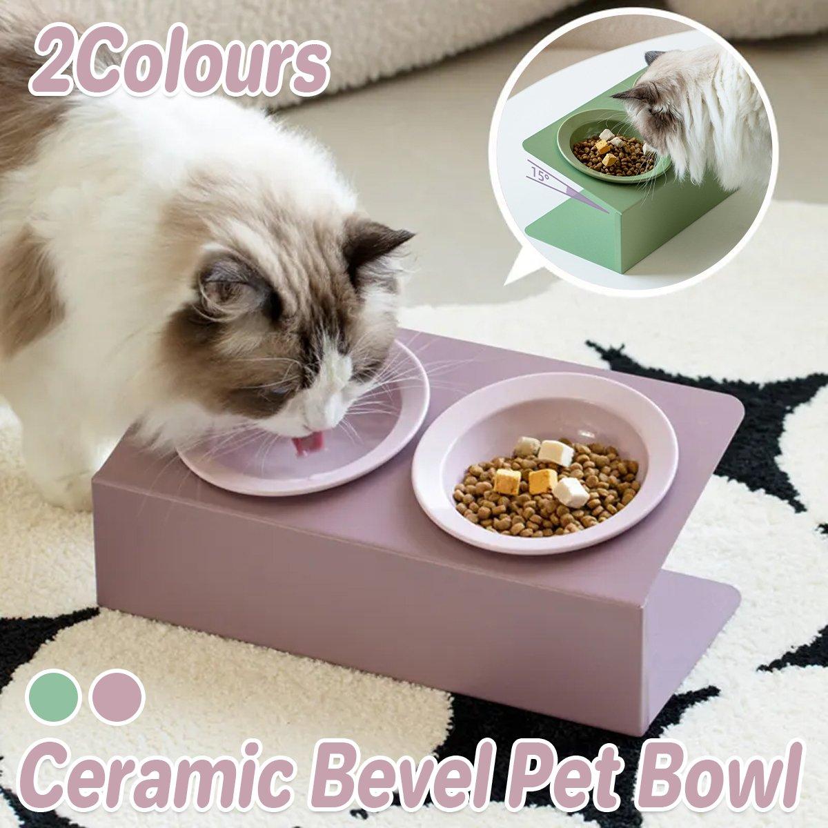 Ceramic Slanted Double Pet Bowl Cat Dog Food Water Bowl Non-Slip Feeding Dish - Green V528-DOUBLE-BOWL-GREEN-504558