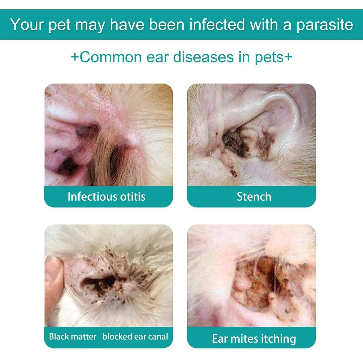 Pet Ear Cleaning Oil for Cats Dogs Deodorize Clean Ears Universal Ear Care Oil V528-EAR-CREAM-762188