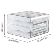 Plastic Double-Layer Egg Storage Box Food Grade Refrigerator Drawer Organizer V528-EGG-CARTON-WHITE-760553
