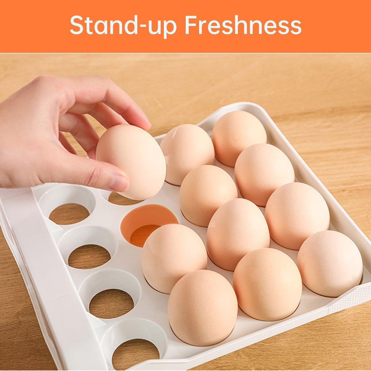 Plastic Double-Layer Egg Storage Box Food Grade Refrigerator Drawer Organizer V528-EGG-CARTON-WHITE-760553