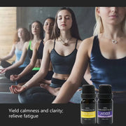 Essential Oil Set 6 Bottles Plant Aromatherapy Oils Natural Scent for Diffuser V528-ESSENTIAL-OILS-6PCS-530006