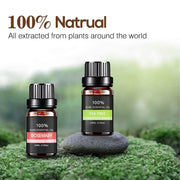 Essential Oil Set 6 Bottles Plant Aromatherapy Oils Natural Scent for Diffuser V528-ESSENTIAL-OILS-6PCS-530006