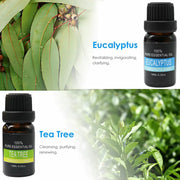 Essential Oil Set 6 Bottles Plant Aromatherapy Oils Natural Scent for Diffuser V528-ESSENTIAL-OILS-6PCS-530006