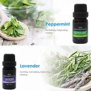 Essential Oil Set 6 Bottles Plant Aromatherapy Oils Natural Scent for Diffuser V528-ESSENTIAL-OILS-6PCS-530006
