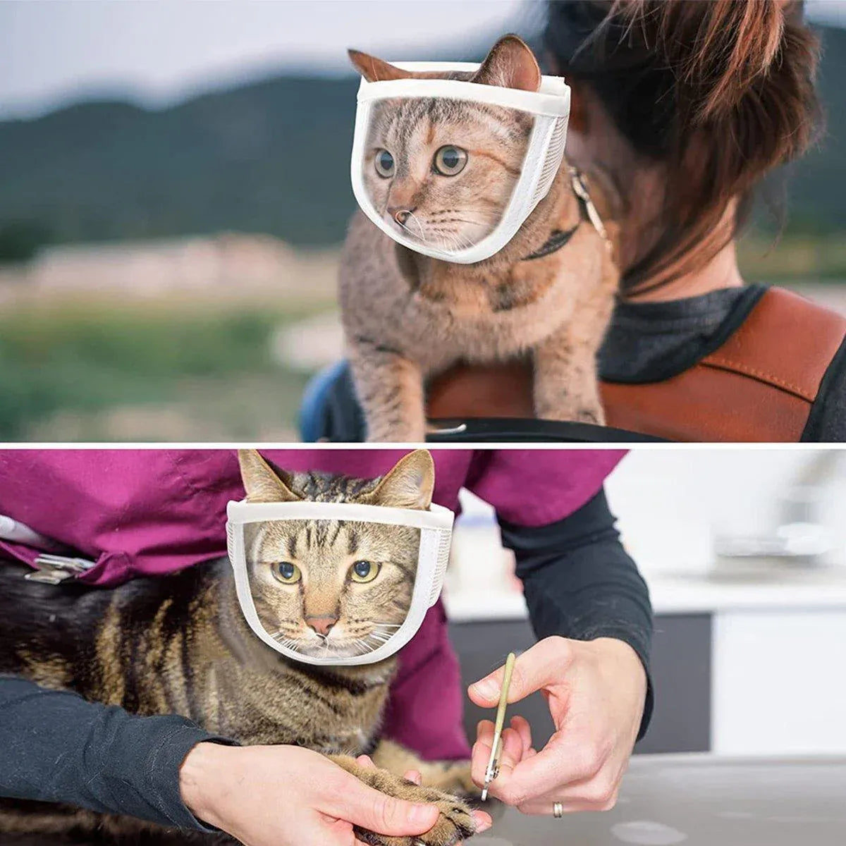 Breathable Pet Headgear Clear Cat Dog Mask Anti Bite Scratch Protective Gear - M V528-FACE-MASK-M-983569