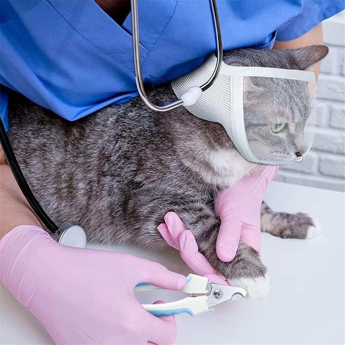 Breathable Pet Headgear Clear Cat Dog Mask Anti Bite Scratch Protective Gear - M V528-FACE-MASK-M-983569