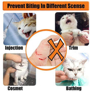 Breathable Pet Headgear Clear Cat Dog Mask Anti Bite Scratch Protective Gear - S V528-FACE-MASK-S-583402