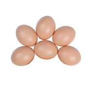 Plastic Painting Eggs DIY Toy Fake Eggs Colourful Drawing Craft Durable Egg - 6PCS V528-FAKE-EGG-6PCS-315587