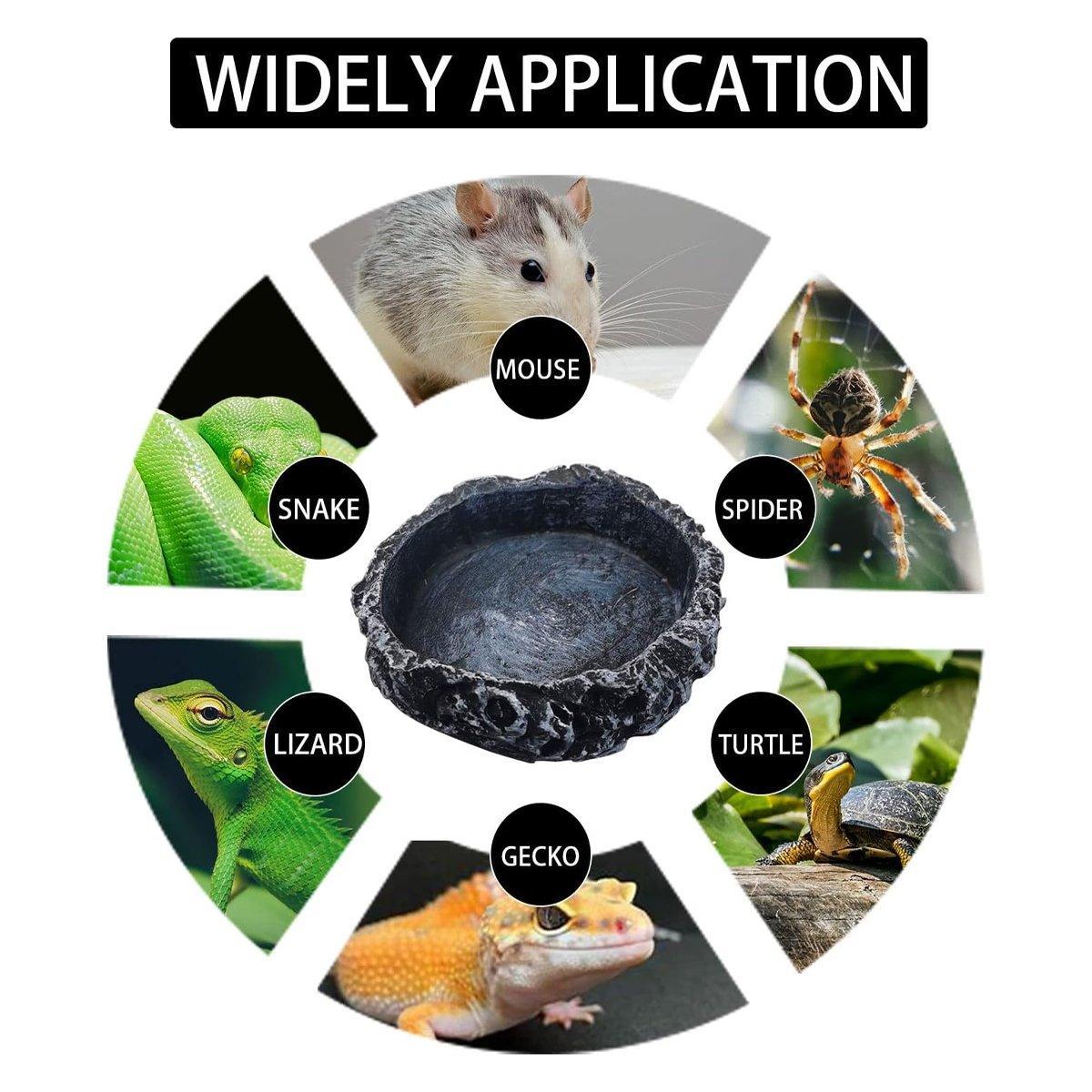2 Pack Reptile Water Dish Food Bowl Rock Worm Feeder for Leopard Gecko Lizard V528-FEEDER-2PCS-774125
