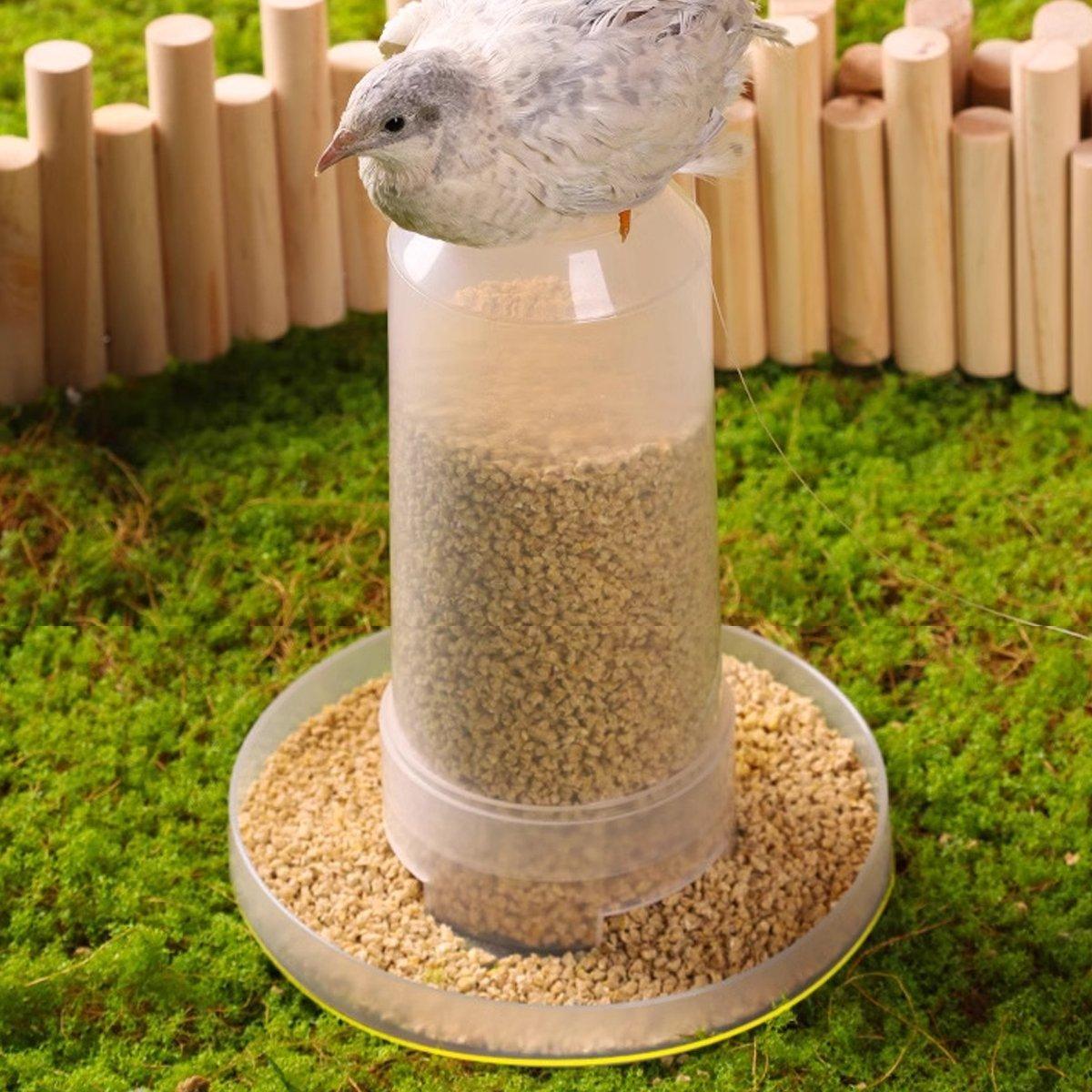 Automatic Bird Feeder Chicken Pigeon Parrot Drinker Water Dispenser Feeder V528-FEEDER-DRINKER-884814