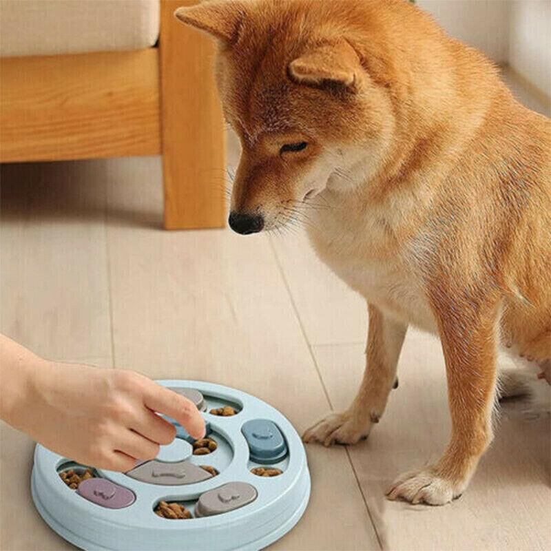 Dog Treat Dispenser Puppy Feeder Puzzle Game Interactive Toy Pet Training Supply - Green V528-FEEDERPUZZLE-GREEN-395205