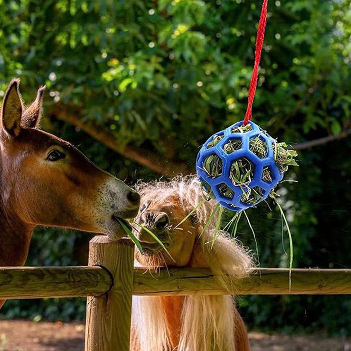 Hanging Hay Feeders Stable Feed Polo Feeding Balls Toy for Horses and Livestock - Blue V528-FEEDING-BALL-BLUE-153420
