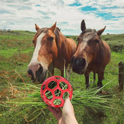 Hanging Hay Feeders Stable Feed Polo Feeding Balls Toy for Horses and Livestock - Green V528-FEEDING-BALL-GREEN-896682