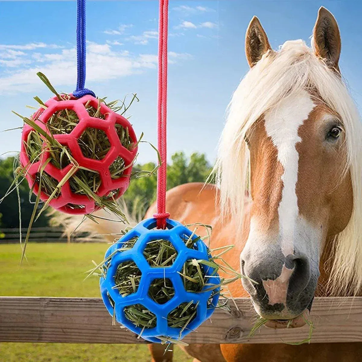Hanging Hay Feeders Stable Feed Polo Feeding Balls Toy for Horses and Livestock - Green V528-FEEDING-BALL-GREEN-896682