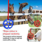 Hanging Hay Feeders Stable Feed Polo Feeding Balls Toy for Horses and Livestock - Red V528-FEEDING-BALL-RED-237799