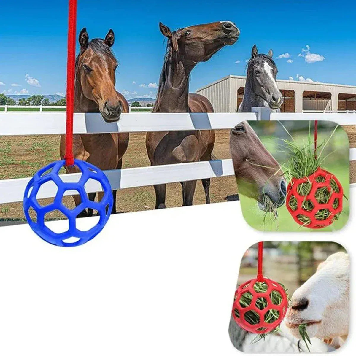 Hanging Hay Feeders Stable Feed Polo Feeding Balls Toy for Horses and Livestock - Red V528-FEEDING-BALL-RED-237799