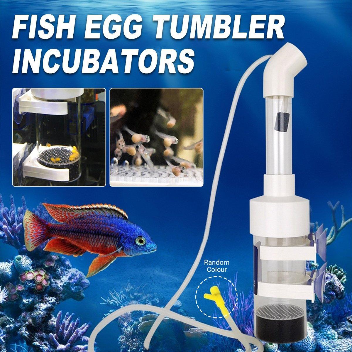 Fish Breeding Box for Aquarium Cichlid Catfish Hatchery Tank Accessories V528-FISH-INCUBATOR-414422