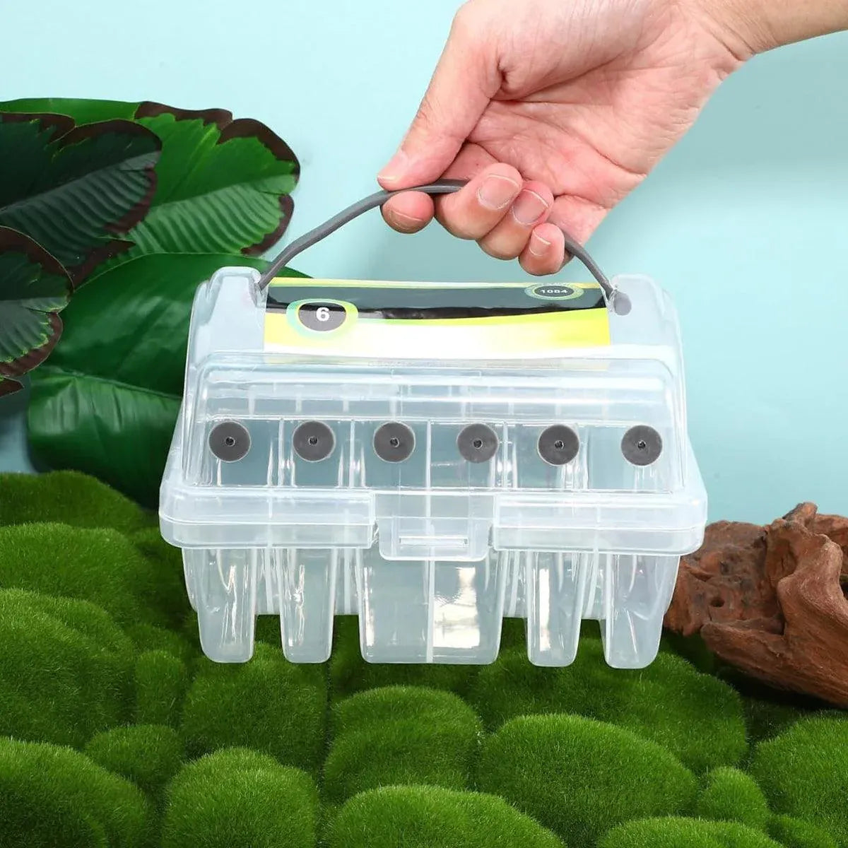 Multifunctional Fishing Line Organizer Storage Box Tackle Management Holder V528-FISHLINE-REEL-BOX-502510