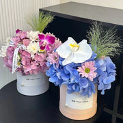 10pcs Clear Round Hug Bucket for Flower Arrangement Bouquet Packaging Supplies - Flower-Bucket-10pcs-Purple V528-FLOWER-BUCKET-10PCS-PURPLE-719542