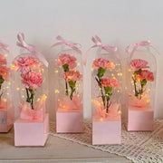 10pcs Bouquet Packaging Transparent PVC Flower Box Portable Floral Gift Boxes - White V528-FLOWER-PACKING-10PCS-WHITE-740940