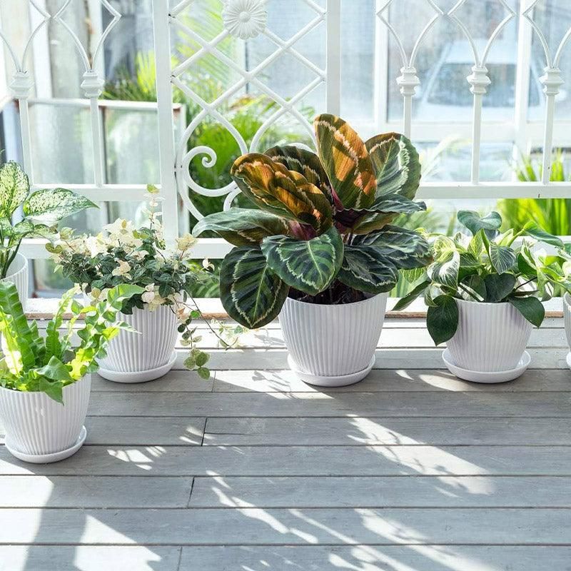 6PCS Simple Plastic Round Plant Pots Vertical Stripes Flower Pot Green Gardening - White V528-FLOWERPOT-6PCS-WHITE-190103