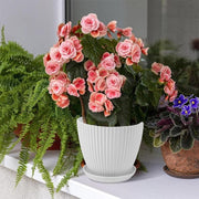 6PCS Simple Plastic Round Plant Pots Vertical Stripes Flower Pot Green Gardening - White V528-FLOWERPOT-6PCS-WHITE-190103