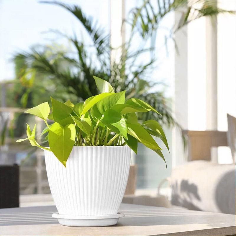 6PCS Simple Plastic Round Plant Pots Vertical Stripes Flower Pot Green Gardening - White V528-FLOWERPOT-6PCS-WHITE-190103