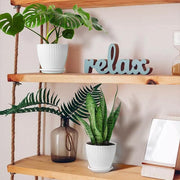 6PCS Simple Plastic Round Plant Pots Vertical Stripes Flower Pot Green Gardening - White V528-FLOWERPOT-6PCS-WHITE-190103