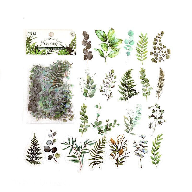 Scrapbooking Flower Stickers Pet Transparent Sticker - E V528-FLOWERSTICKERS-E-200532