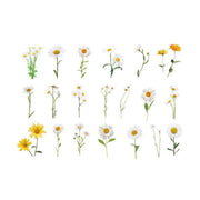 Scrapbooking Flower Stickers Pet Transparent Sticker - E V528-FLOWERSTICKERS-E-200532