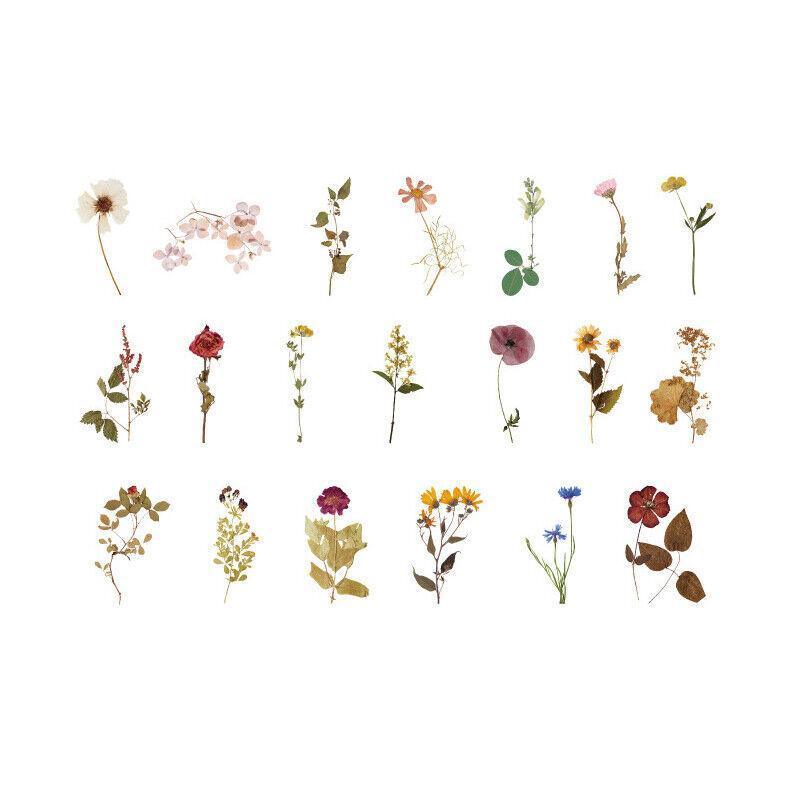 Scrapbooking Flower Stickers Pet Transparent Sticker - E V528-FLOWERSTICKERS-E-200532