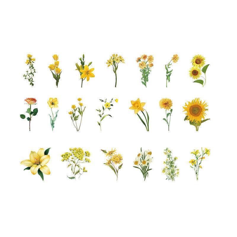 Scrapbooking Flower Stickers Pet Transparent Sticker - E V528-FLOWERSTICKERS-E-200532