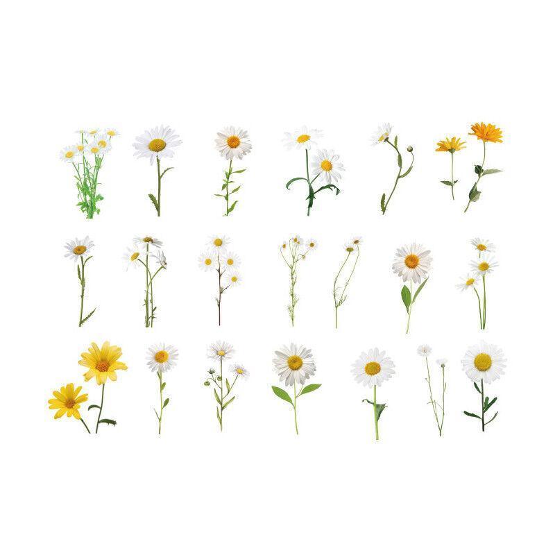 Scrapbooking Flower Stickers Pet Transparent Sticker - F V528-FLOWERSTICKERS-F-759025