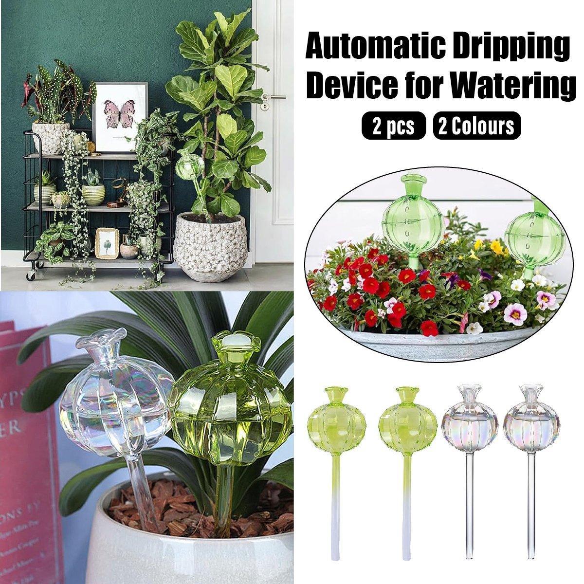 2PCS Automatic Glass Watering Cactus Plant Flower Self Drip Irrigation Tool - Transparent V528-FLOWERWATERERTRANSPARENT2PCS-945285
