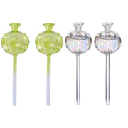 2PCS Automatic Glass Watering Cactus Plant Flower Self Drip Irrigation Tool - Transparent V528-FLOWERWATERERTRANSPARENT2PCS-945285