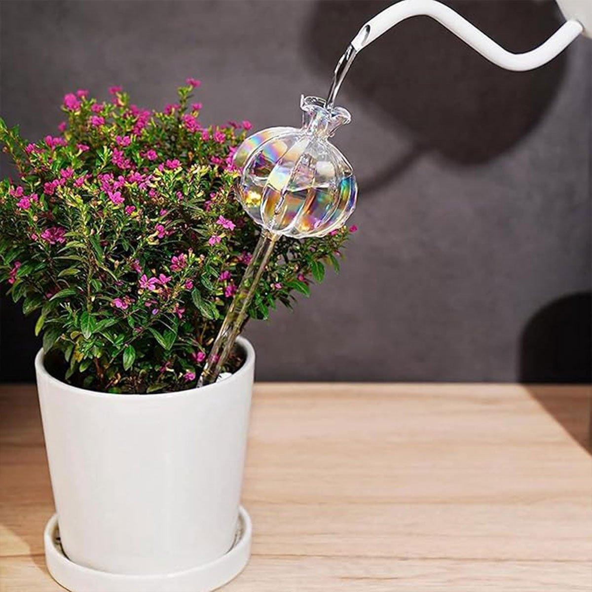 2PCS Automatic Glass Watering Cactus Plant Flower Self Drip Irrigation Tool - Transparent V528-FLOWERWATERERTRANSPARENT2PCS-945285