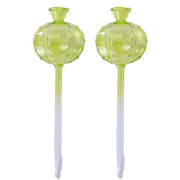 2PCS Automatic Glass Watering Cactus Plant Flower Self Drip Irrigation Tool - Transparent V528-FLOWERWATERERTRANSPARENT2PCS-945285