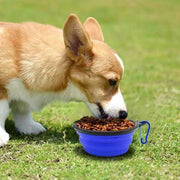 Collapsible Silicone Pet Bowl for Cat Dog Portable Food and Water Feeder - Black V528-FOLDABLEPETBOWL-BLACK-720852