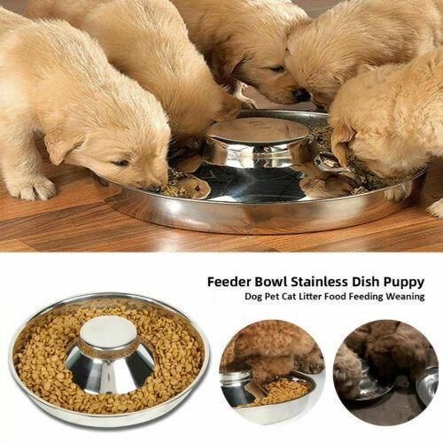 Stainless Steel Pet Bowl Slow Feeder Dish Puppy Dog Cat Food Feeding Weaning Bowl - S V528-FOODSTOPBASIN-S-86856
