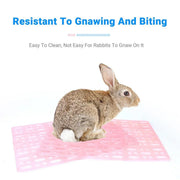 2pcs Rabbit Foot Mat Large Plastic Cage Mat for Guinea Pig Pet Cage Accessories - White V528-FOOT-PAD-WHITE-2PCS-904400