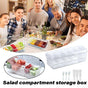 Outdoor Picnic Ice Box Split Salad Plate Fresh-keeping Food Storage Container V528-FRUIT-PLATE-355477