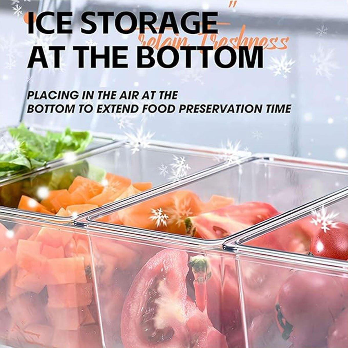 Outdoor Picnic Ice Box Split Salad Plate Fresh-keeping Food Storage Container V528-FRUIT-PLATE-355477