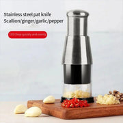 304 Stainless Steel Garlic Press Crusher Manual Garlic Mincer Kitchen Tool V528-GARLIC-POUNDER-602206