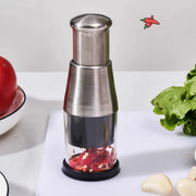 304 Stainless Steel Garlic Press Crusher Manual Garlic Mincer Kitchen Tool V528-GARLIC-POUNDER-602206