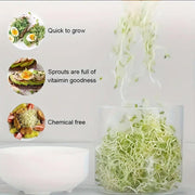 Bean Sprout Growing Machine Automatic Sprouting Pot Plant Germination Tool V528-GERMINATION-TOOLS-526062
