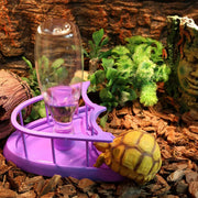 Reptile Water Bowl with Bottle for Lizard Gecko Snake Inverted Bottle Dispenser - Purple Platform S V528-GIVE-PURPLE-NW-14-867028