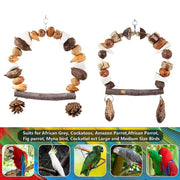 Parrot Chew Toy For Training Climbing Grinding Teeth Relief Durable Bird Toy - Pine Cones V528-GNAWING-TOY-SG-L-339757