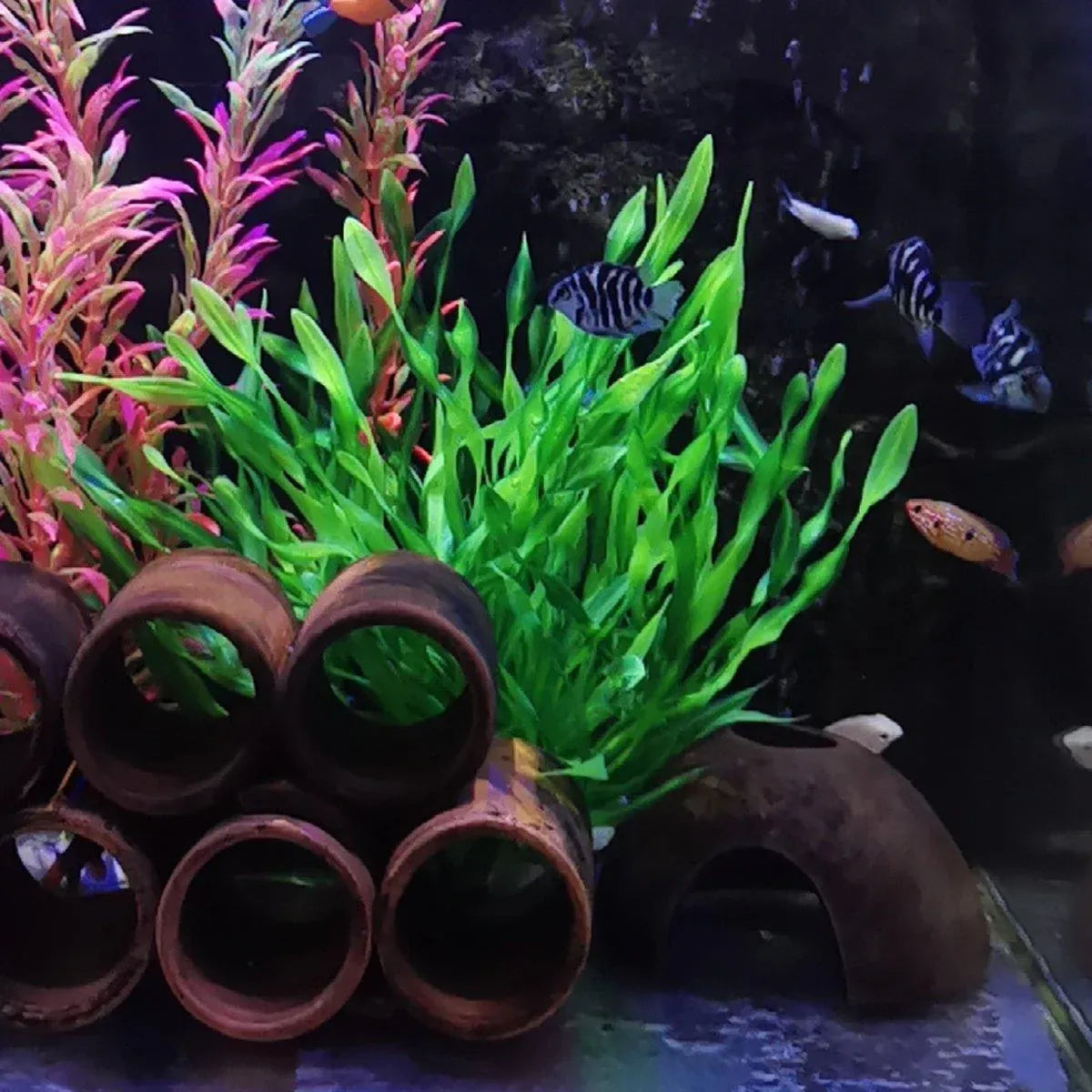 Artificial Water Grass Fish Tank Decoration Aquarium Landscape Simulation Plants - 01-3PCS V528-GRASS-3PCS-CO05-443545