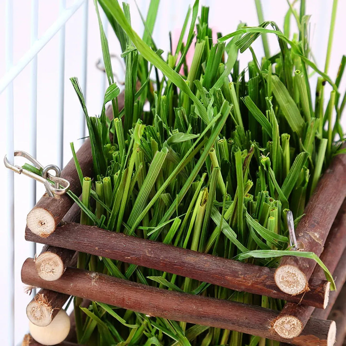 Rabbit Hay Feeder Rack Apple Wood Grass Holder Natural Food Rack Small Pet V528-GRASS-RACK-694722